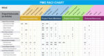 RACI-Chart-Template-Excel