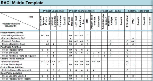 PMO RACI Matrix Template Excel – Project Management Tools