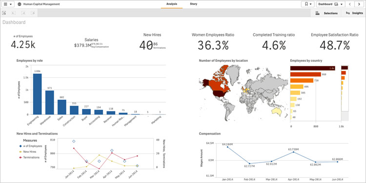 Fig. 1 Executive HR dashboard